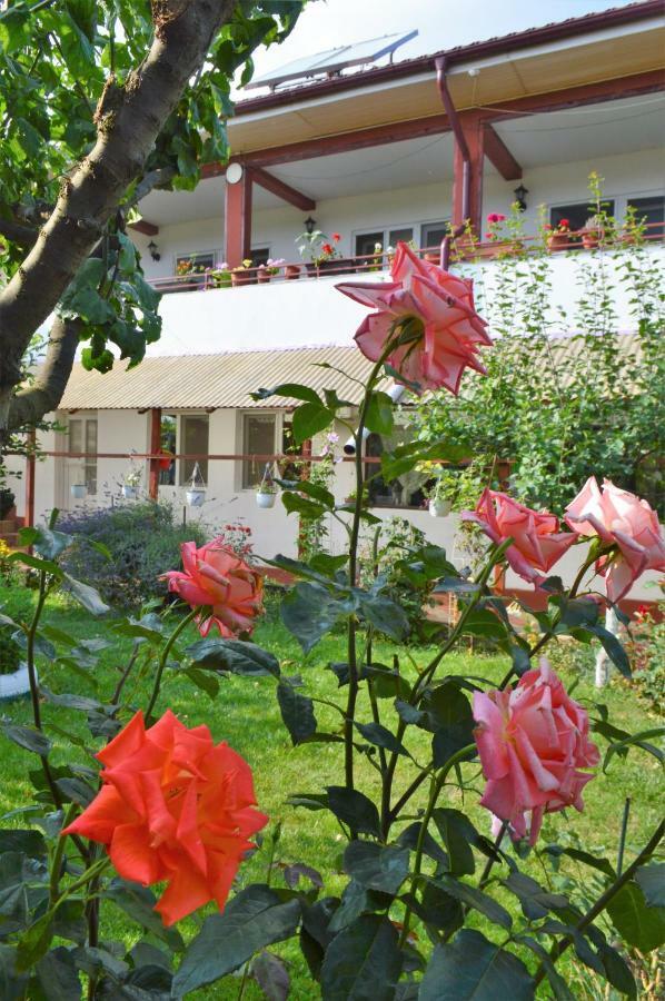 Casa Gia Hotel Costinesti Luaran gambar