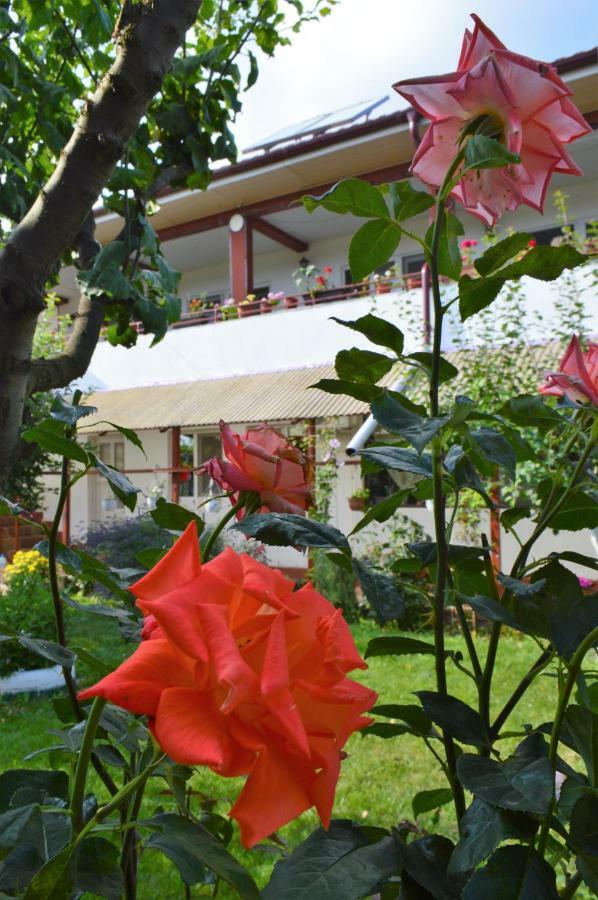 Casa Gia Hotel Costinesti Luaran gambar